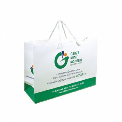 CARTON BAG - 3